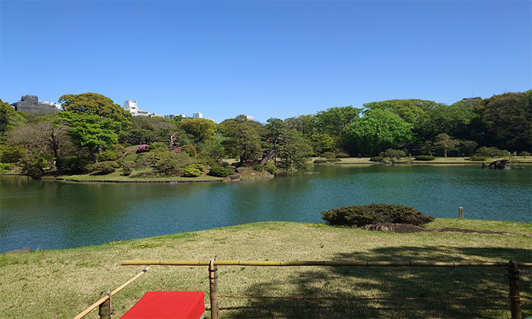 税理士法人アクセス会計事務所